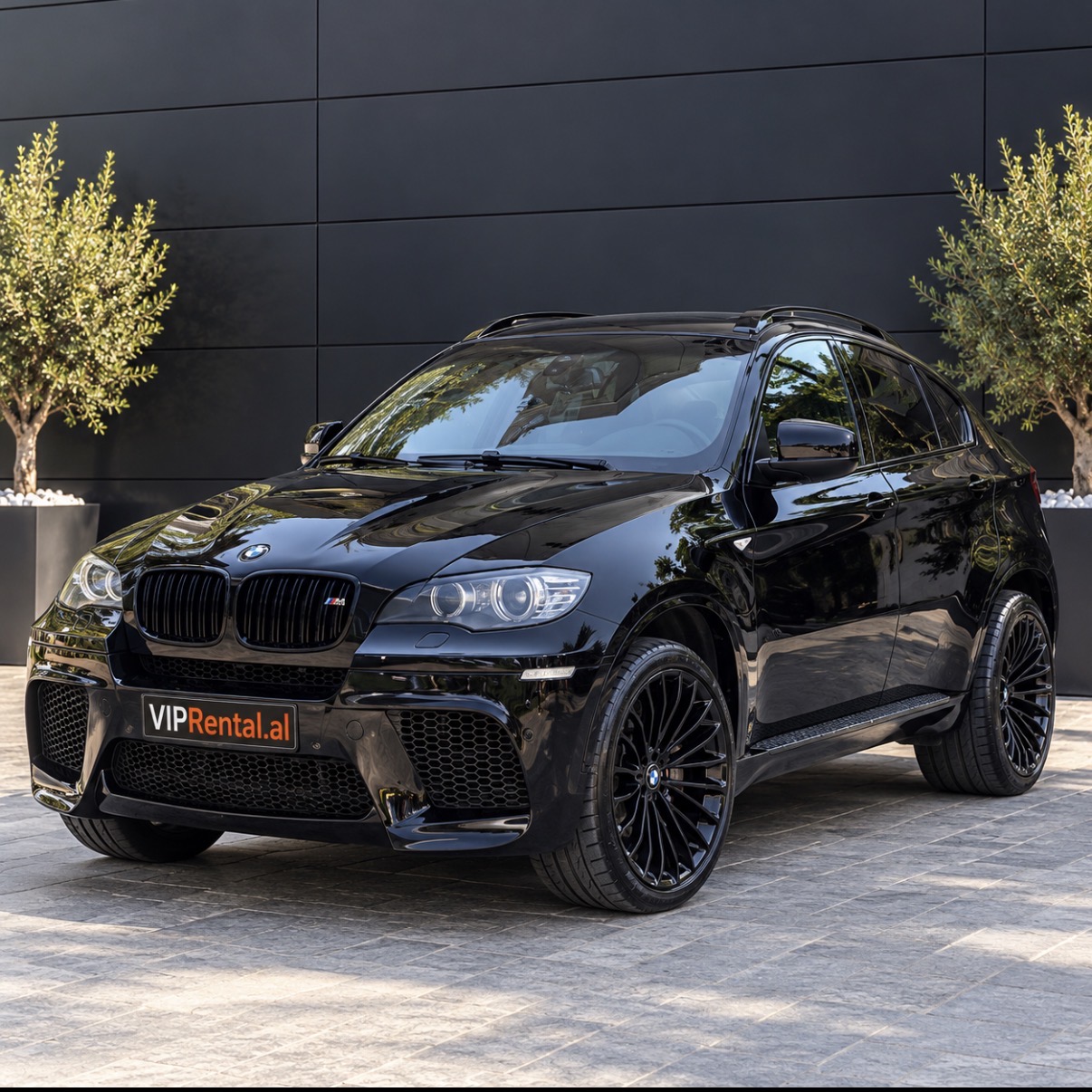 BMW X6 M
