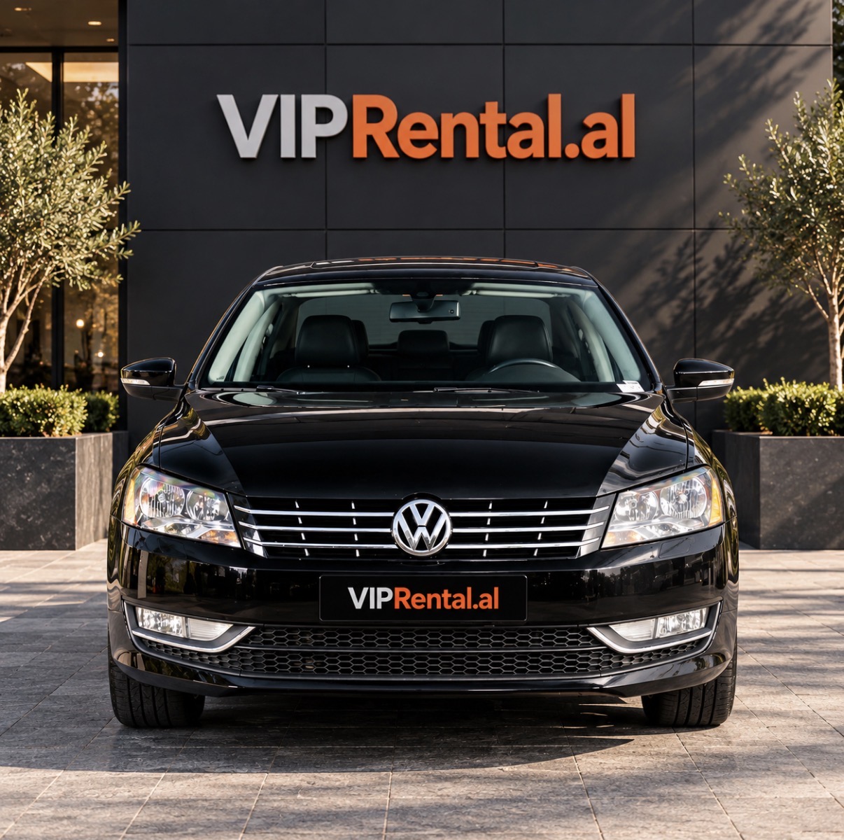 Passat Sel