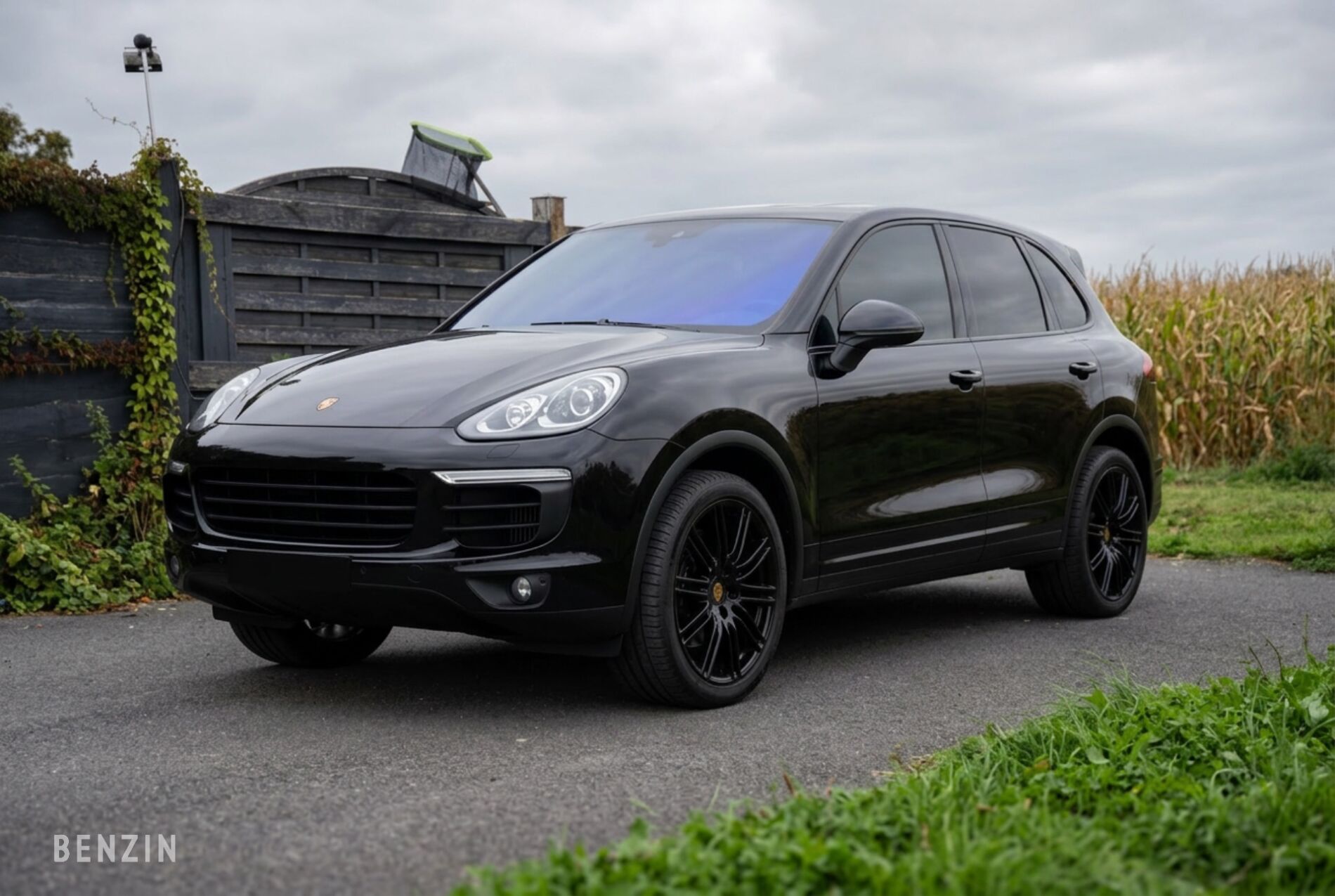 Porche Cayene
