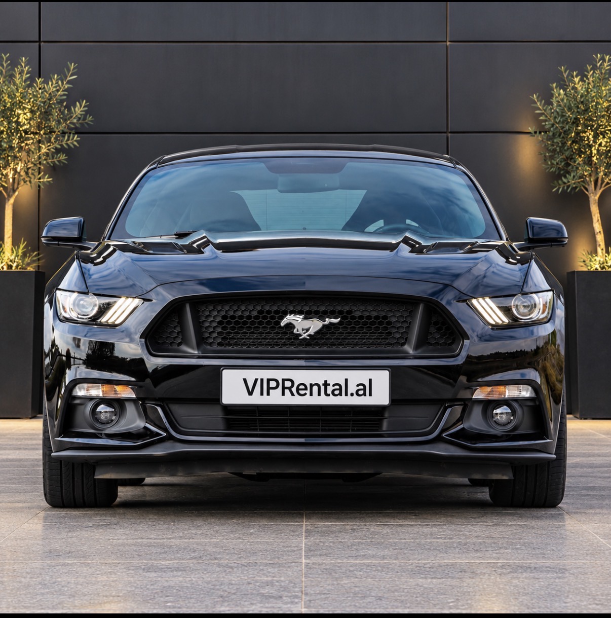 Ford Mustang GT